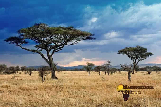 Mzsingitana Tented Camp Hoedspruit Eksteriør bilde