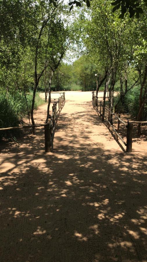 Mzsingitana Tented Camp Hoedspruit Eksteriør bilde