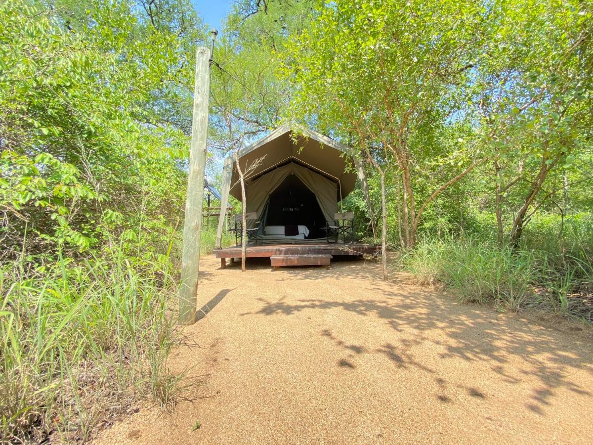 Mzsingitana Tented Camp Hoedspruit Eksteriør bilde
