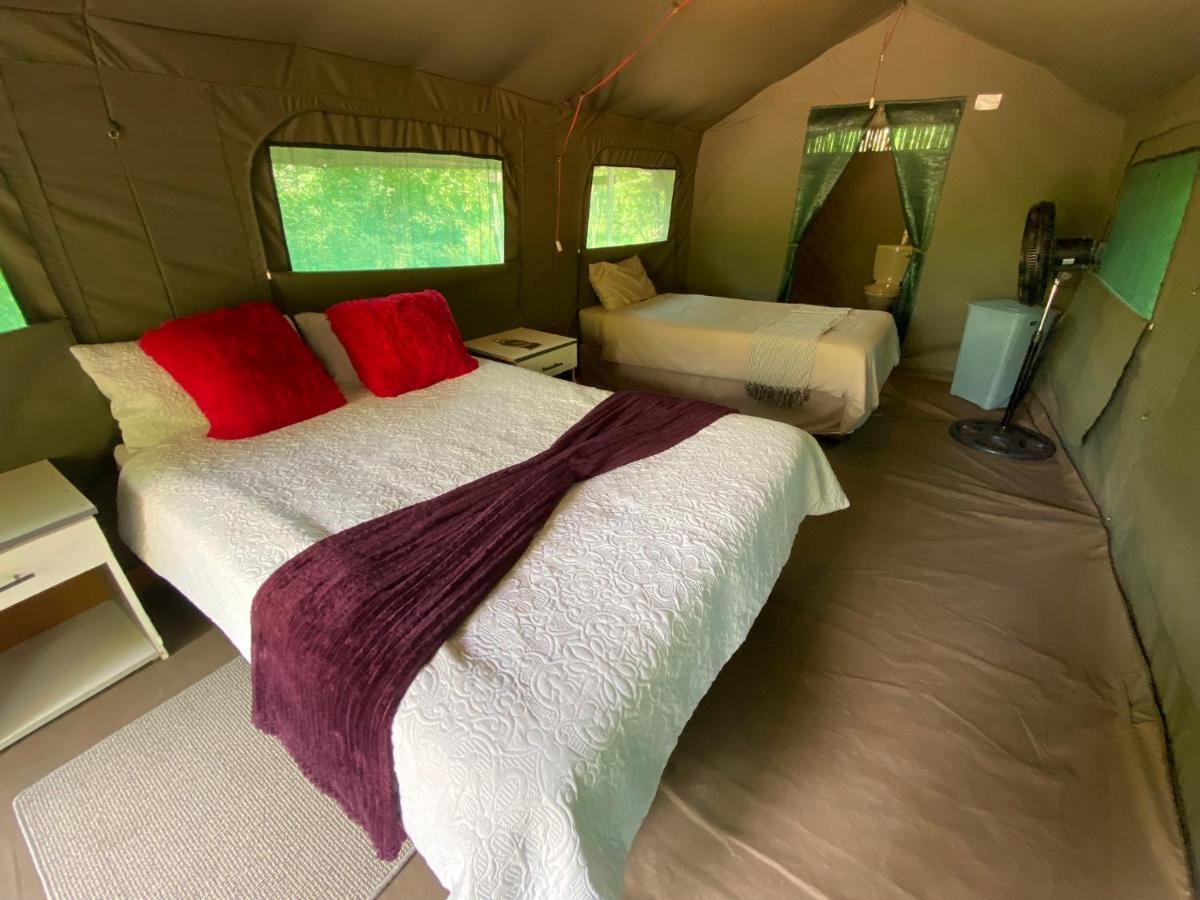 Mzsingitana Tented Camp Hoedspruit Eksteriør bilde
