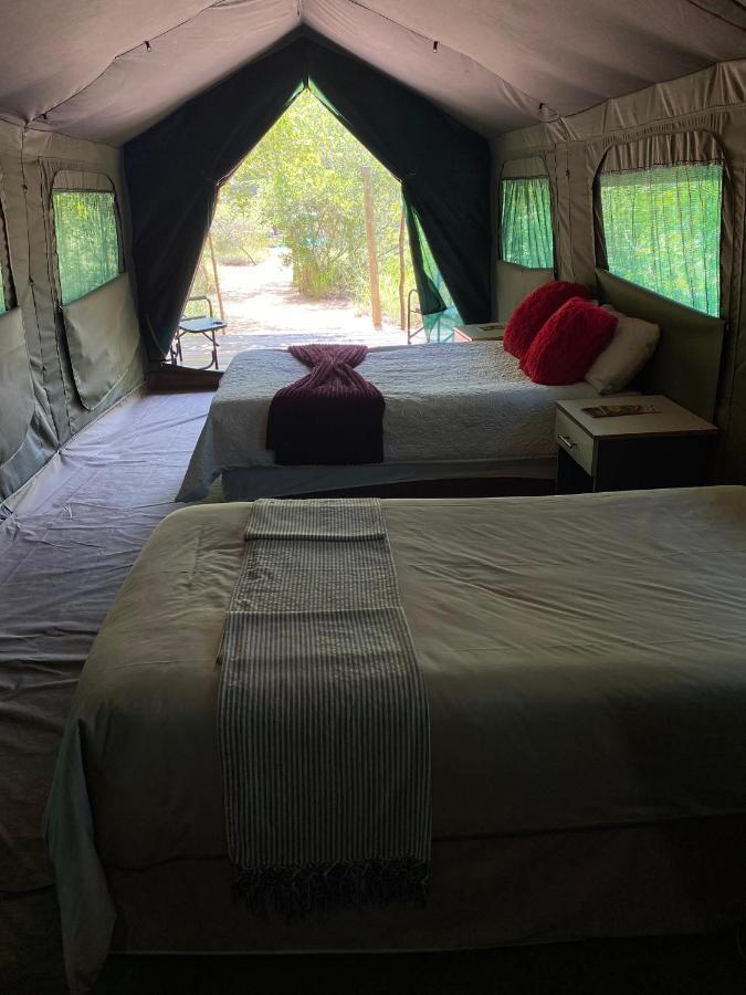Mzsingitana Tented Camp Hoedspruit Eksteriør bilde