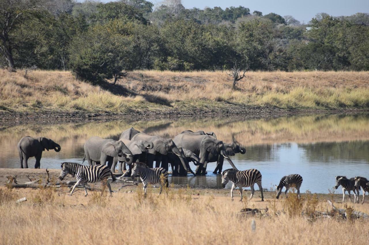 Mzsingitana Tented Camp Hoedspruit Eksteriør bilde