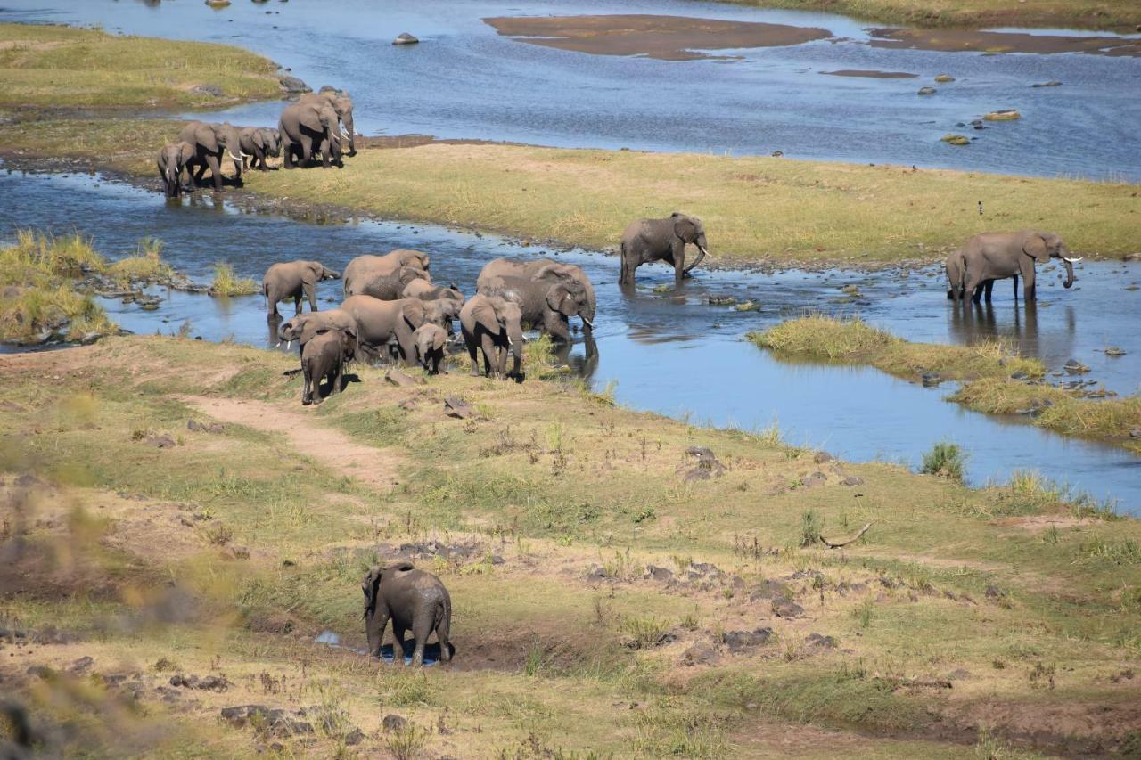 Mzsingitana Tented Camp Hoedspruit Eksteriør bilde