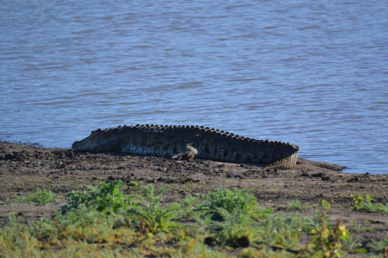 Mzsingitana Tented Camp Hoedspruit Eksteriør bilde