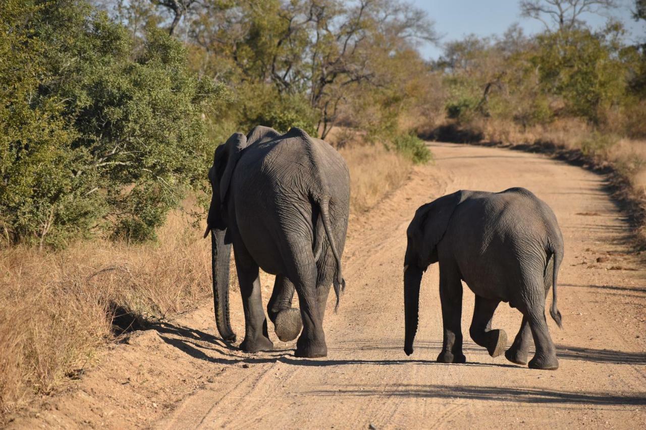 Mzsingitana Tented Camp Hoedspruit Eksteriør bilde