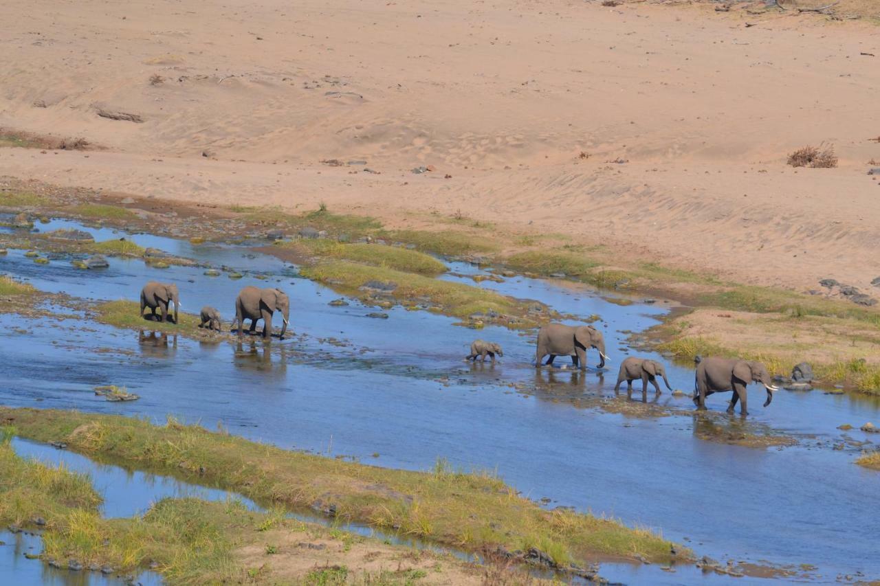 Mzsingitana Tented Camp Hoedspruit Eksteriør bilde